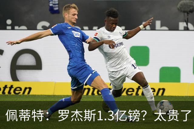 佩蒂特：罗杰斯1.3亿镑？太贵了！阿森纳可以把尼科作为替代方案